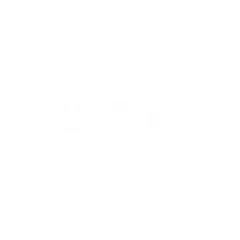 Burdo